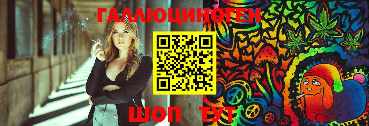 Зерноград  Галлюциногенные грибы Psilocybine cubensis  Вход с VPN  Галлюциногенные грибы Psilocybine cubensis 