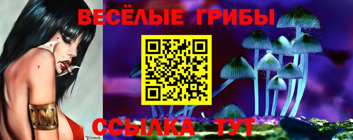 Псилоцибиновые грибы Cubensis Зерноград